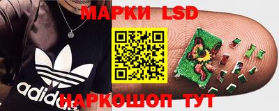Альфа ПВП Лесосибирск